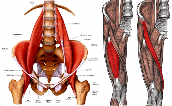 best golf hip flexor stretch